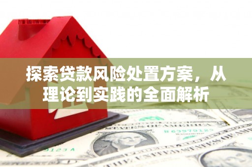阳春探索贷款风险处置方案，从理论到实践的全面解析