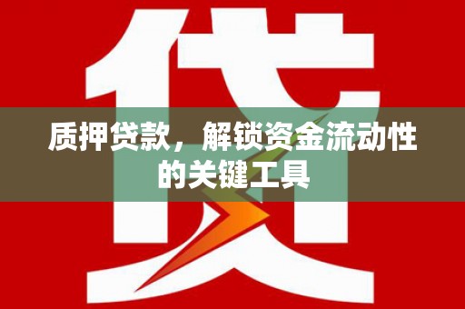 阳春质押贷款，解锁资金流动性的关键工具