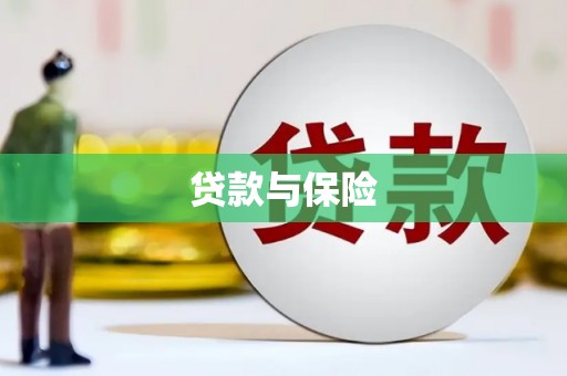 阳春贷款与保险