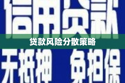 阳春贷款风险分散策略