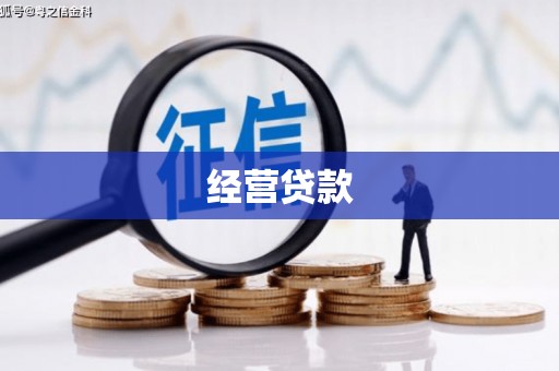 阳春经营贷款