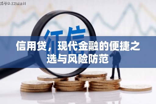 阳春信用贷，现代金融的便捷之选与风险防范