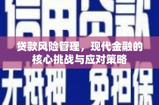 阳春贷款风险管理，现代金融的核心挑战与应对策略