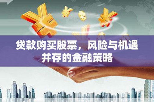 阳春贷款购买股票，风险与机遇并存的金融策略