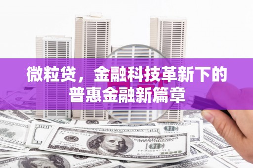 阳春微粒贷，金融科技革新下的普惠金融新篇章