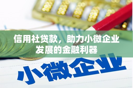 阳春信用社贷款，助力小微企业发展的金融利器