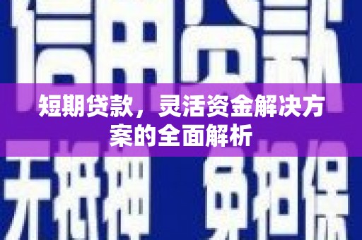 阳春短期贷款，灵活资金解决方案的全面解析