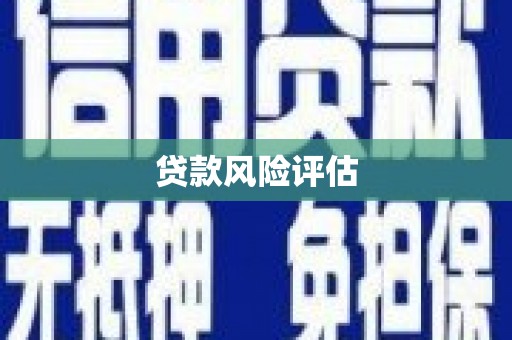 阳春贷款风险评估
