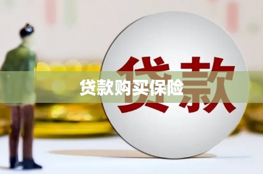 阳春贷款购买保险