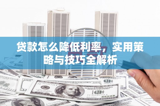 阳春贷款怎么降低利率，实用策略与技巧全解析