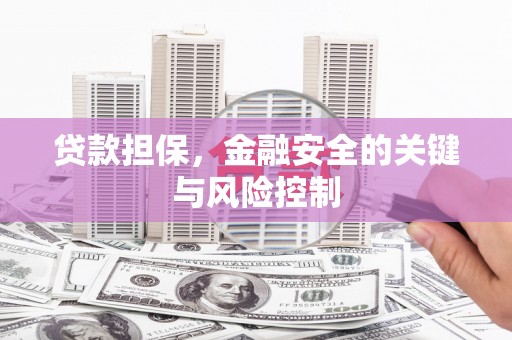 阳春贷款担保，金融安全的关键与风险控制