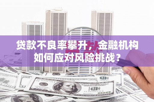 阳春贷款不良率攀升，金融机构如何应对风险挑战？