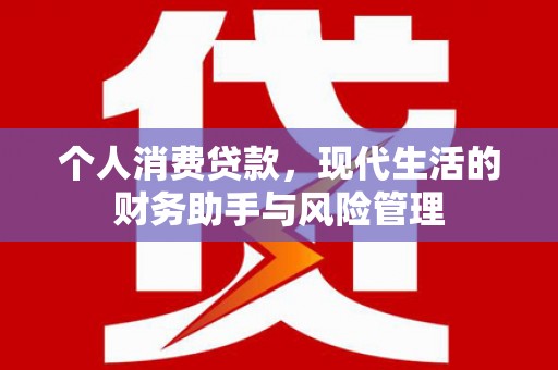 阳春个人消费贷款，现代生活的财务助手与风险管理