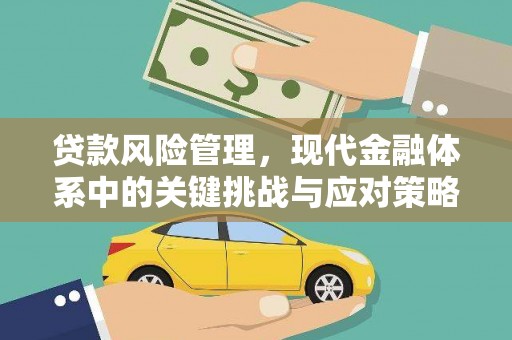 阳春贷款风险管理，现代金融体系中的关键挑战与应对策略
