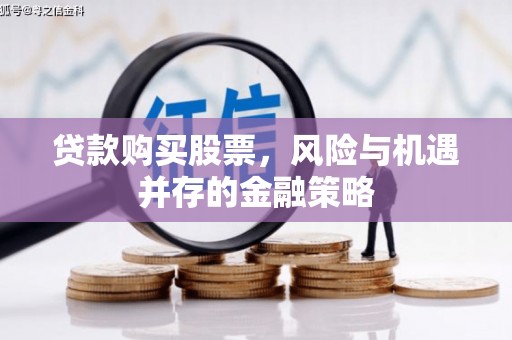 阳春贷款购买股票，风险与机遇并存的金融策略