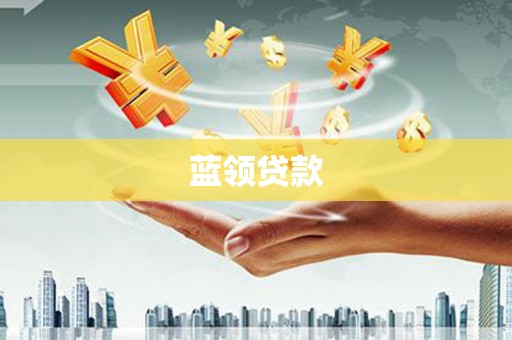 阳春蓝领贷款