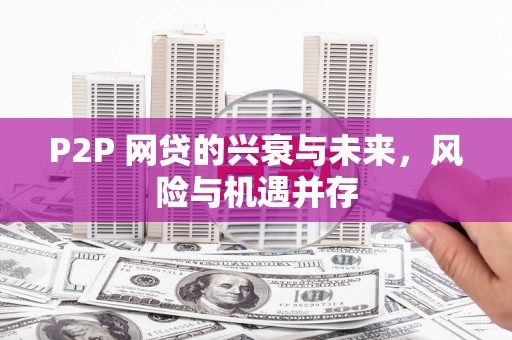 阳春P2P 网贷的兴衰与未来，风险与机遇并存