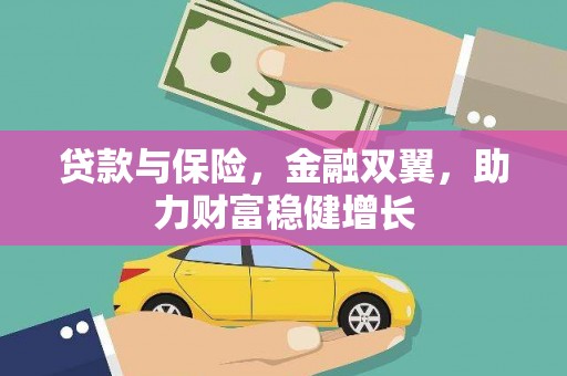 阳春贷款与保险，金融双翼，助力财富稳健增长