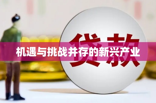 阳春机遇与挑战并存的新兴产业