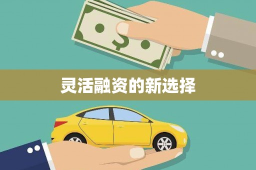 阳春灵活融资的新选择