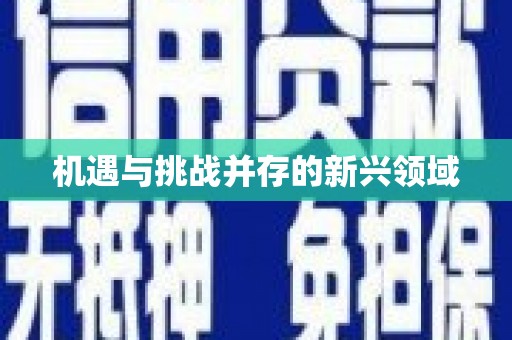 阳春机遇与挑战并存的新兴领域