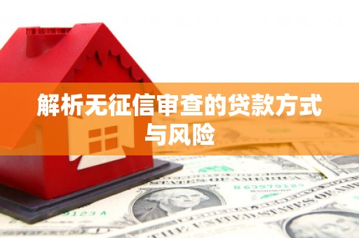 阳春解析无征信审查的贷款方式与风险