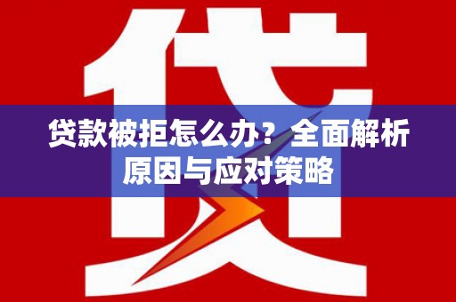 阳春贷款被拒怎么办？全面解析原因与应对策略