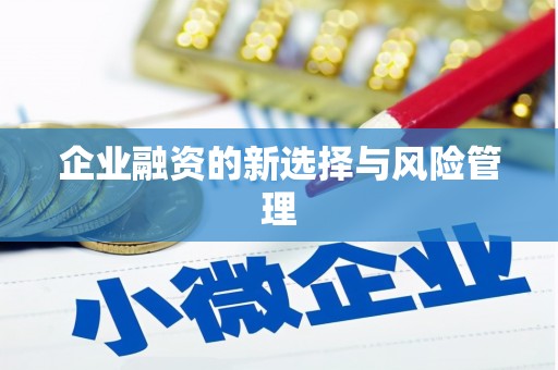阳春企业融资的新选择与风险管理