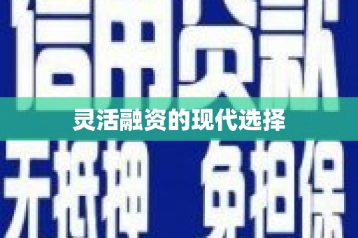 阳春灵活融资的现代选择