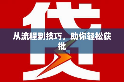 阳春从流程到技巧，助你轻松获批