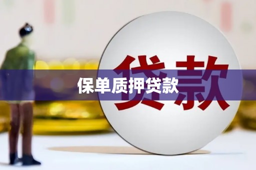 阳春保单质押贷款