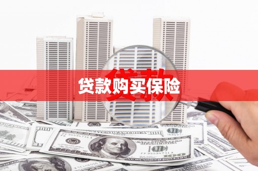阳春贷款购买保险