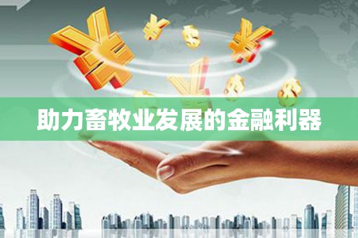 阳春助力畜牧业发展的金融利器