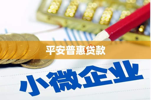 阳春平安普惠贷款