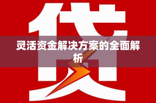 阳春灵活资金解决方案的全面解析