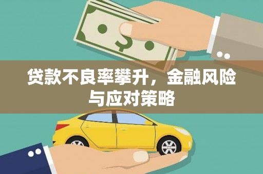 阳春贷款不良率攀升，金融风险与应对策略
