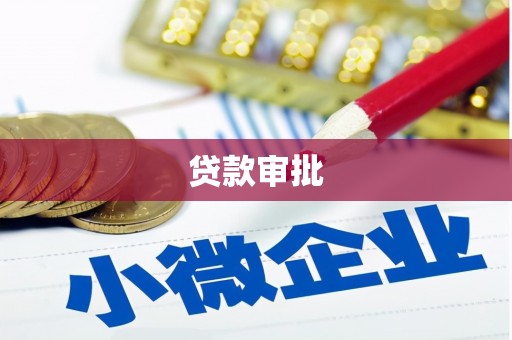 阳春贷款审批
