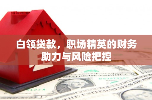 阳春白领贷款，职场精英的财务助力与风险把控