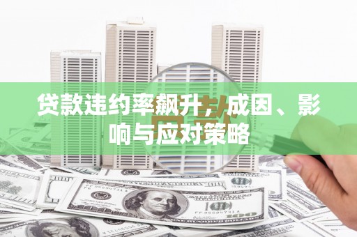 阳春贷款违约率飙升，成因、影响与应对策略